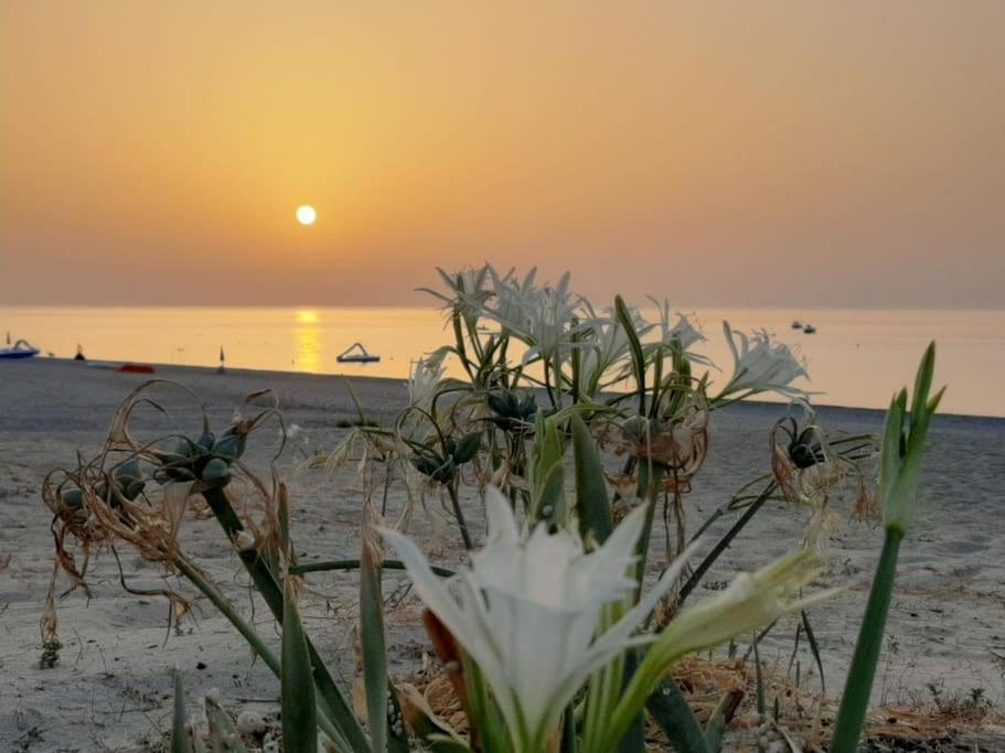 Appartamento Casa Lulu Due Minuti Dal Mare Ardore Marina Esterno foto