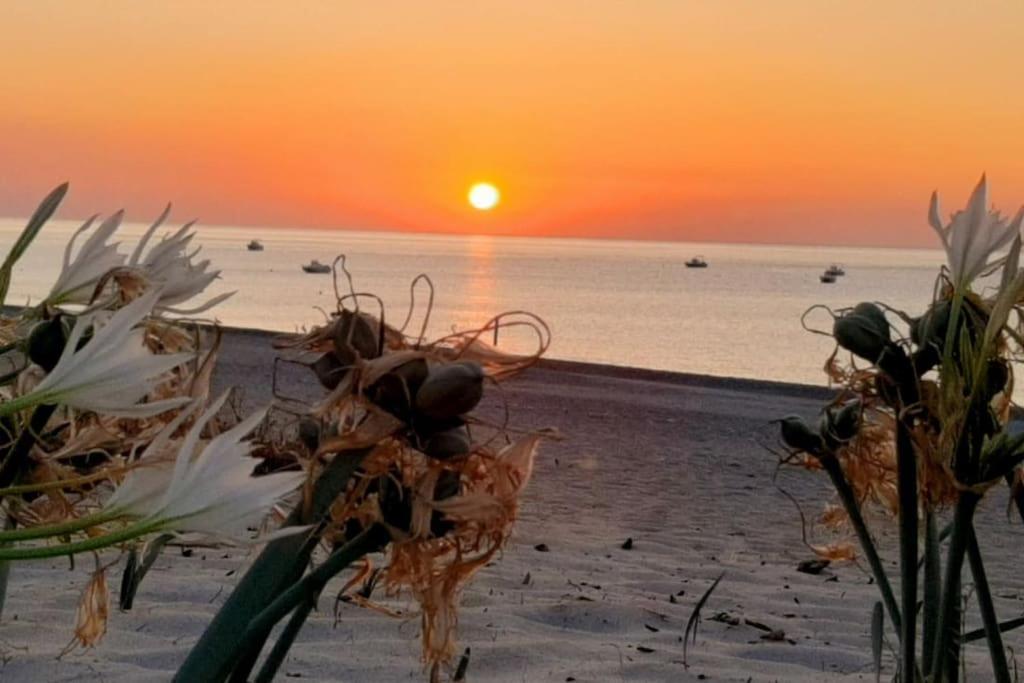 Appartamento Casa Lulu Due Minuti Dal Mare Ardore Marina Esterno foto